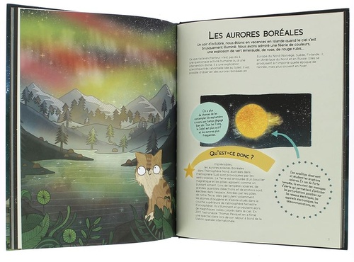 Chat qui aimait le ciel et les étoiles / Stuart Atkinson, Brendan Kearney