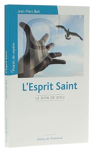 Esprit Saint - Le Don de Dieu / Père Jean-Marc Bot