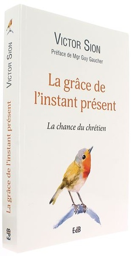 Grâce de l'instant présent / Victor Sion