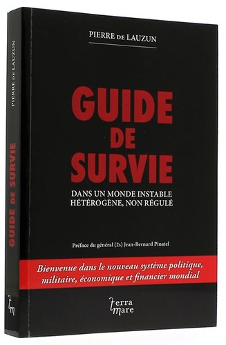 Guide de survie dans un monde instable, hétérogène, non régulé / Pierre de Lauzun