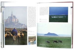 Histoire de la baie du Mont-Saint-Michel et de son abbaye / Lefeuvre, Mouton, Mauxion