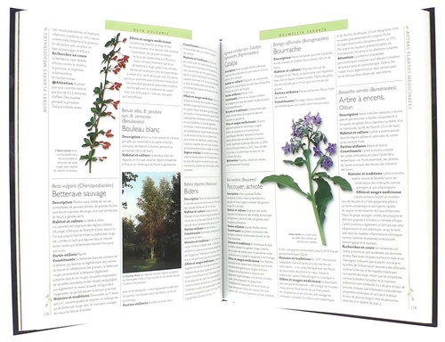 Larousse des plantes médicinales / Andrew Chevallier