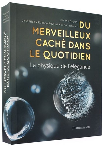 Merveilleux caché dans le quotidien - la physique de l'élégance / Collectif