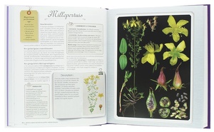 Petit Larousse des plantes médicinales / Gérard Debuigne, François Couplan