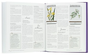 Petit Larousse des plantes médicinales / Gérard Debuigne, François Couplan