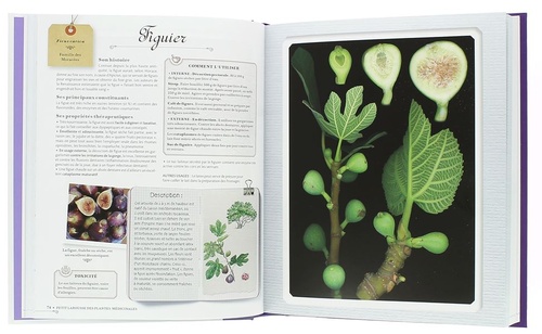 Petit Larousse des plantes médicinales / Gérard Debuigne, François Couplan