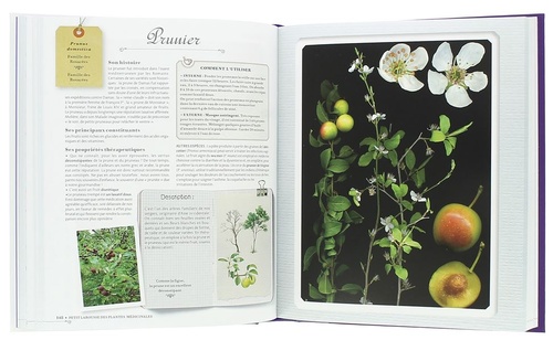 Petit Larousse des plantes médicinales / Gérard Debuigne, François Couplan