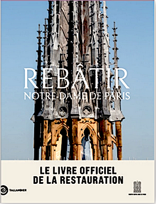 Rebâtir Notre-Dame de Paris / Mathieu Lours