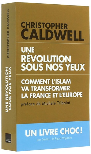 Révolution sous nos yeux  / Caldwell (poche)