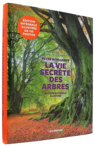 Vie secrète des arbres - Édition illustrée / Peter Wohlleben