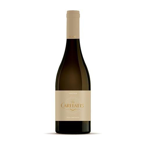Bouteille de Vox Caritatis - Vin blanc de Via Caritatis Bouteille de Vox Caritatis - Vin blanc de Via Caritatis